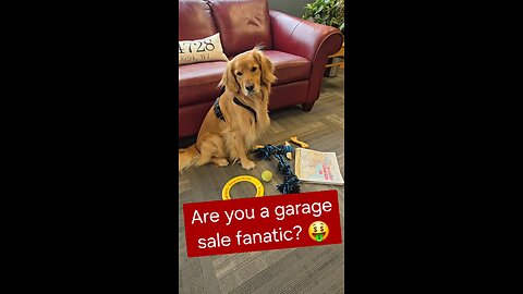Are you a garage sale fanatic?