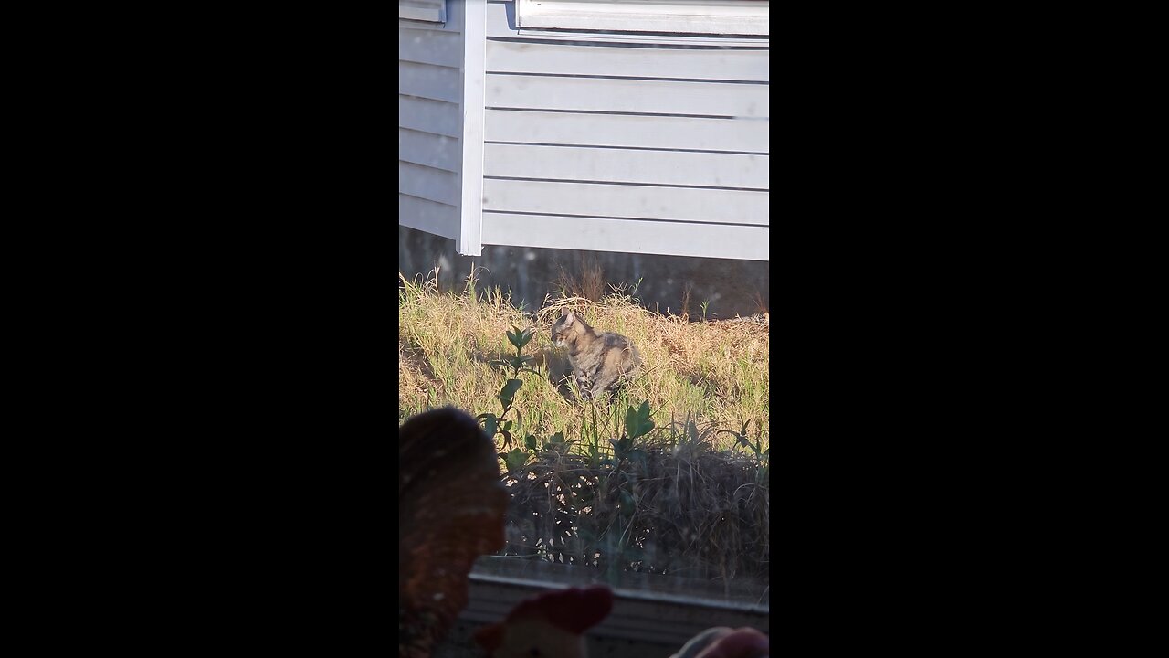 Do I hear the coffee ☕ brewing ☕