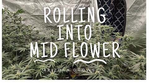 Rolling Into Mid Flower