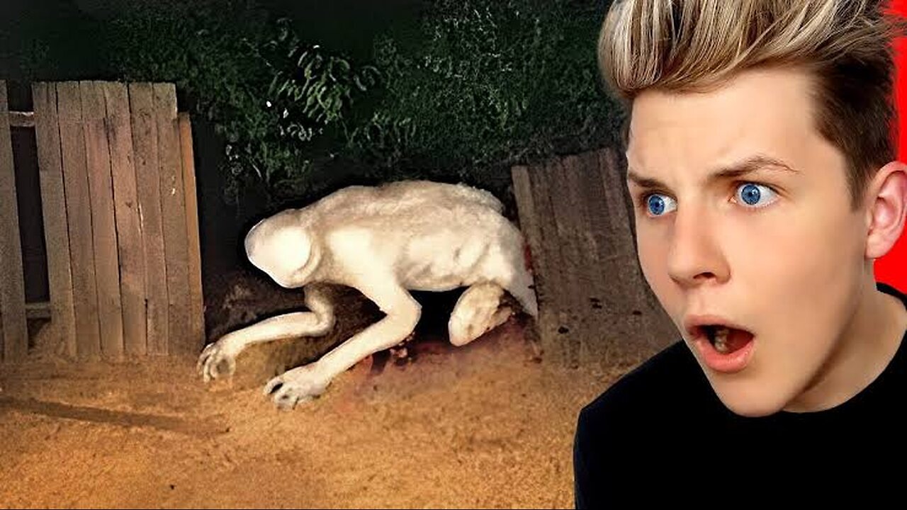 THINGS Humans Weren't Meant To See
