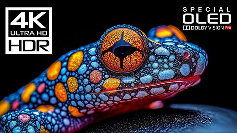 World's Most Incredible 4K Videos | 4K HDR 60fps | Dolby Vision