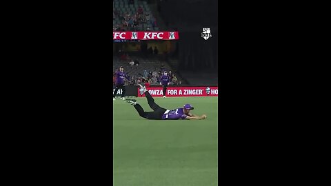 What a Brilliant Caught..