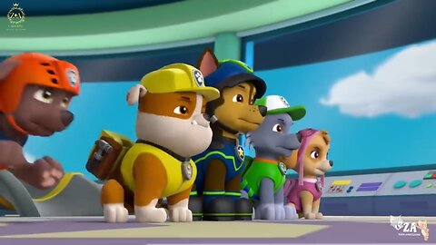 PAW Patrol Cartoons
