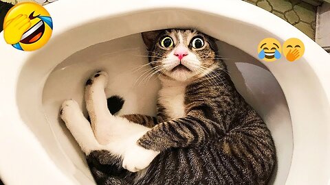 Funniest Pets Compilation 2025 | Try Not to Laugh!