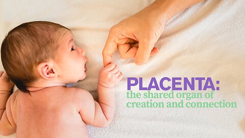 Placenta: The Shared Organ of Creation and Connection