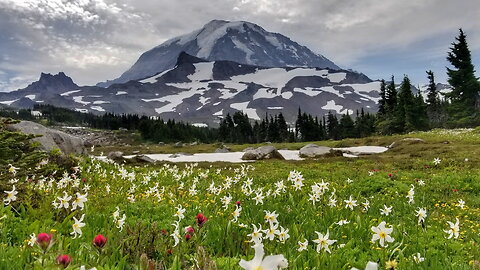 Mt. Rainier - Spray Park Area (Wonderland Trail)
