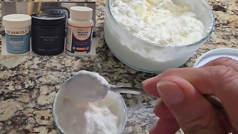 L Reuteri Yogurt fermenting Yogurt according to the recipe of Dr. Davis