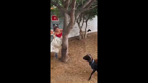 satisfying Video