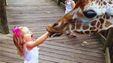 Baby’s First Zoo Adventure – Funny & Cute Reactions! 🐘❤️