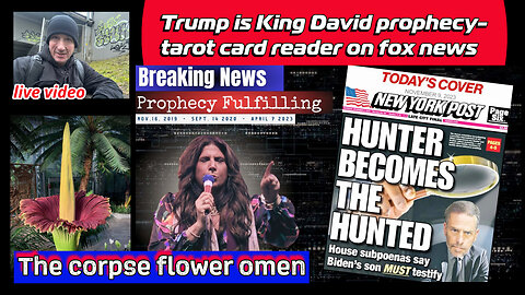 Amanda Grace - Ark of Grace Ministries Trump is King David prophecy- Omans- tarot card reader