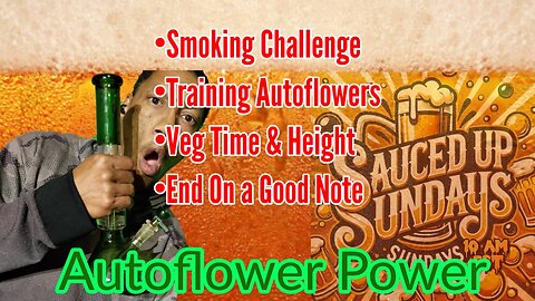 Sauced Up Sunday: Autoflower Power