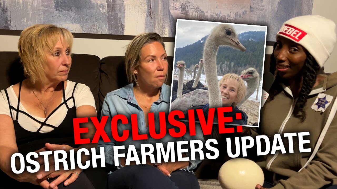 Science or slaughter? Ostrich farmers expose more hypocrisy in CFIA's plans to cull healthy flock