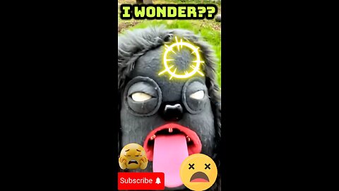I Wonder??