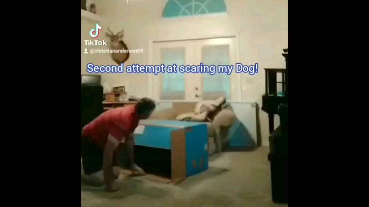 Second attempt at scaring my dog. Success