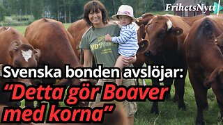 Marit kämpade länge mot Boaver - nu får hon rätt! “Konspiration! Nej nu är det sanning”