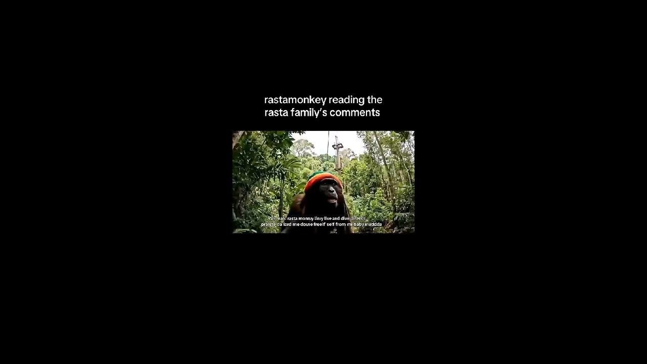 Rasta Monkey ina da hood man