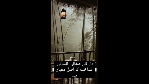 Dil ke saf log #naseehat #quotes