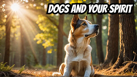 Nurturing Your Soul: The Spiritual Role of Dogs