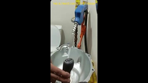 Ultimate car guy's restroom