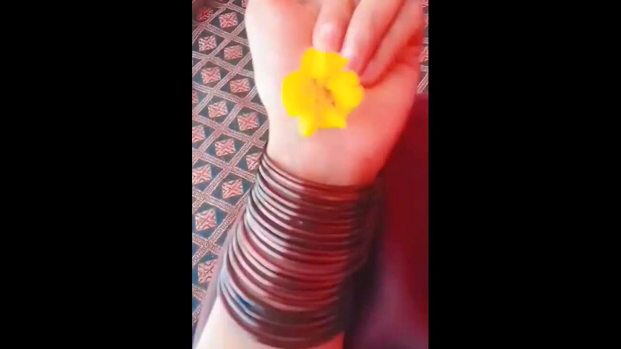 Who recognizes this flower