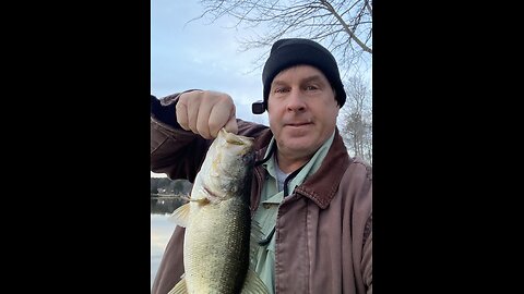 Nice bass, late January, early evening, bank fishing