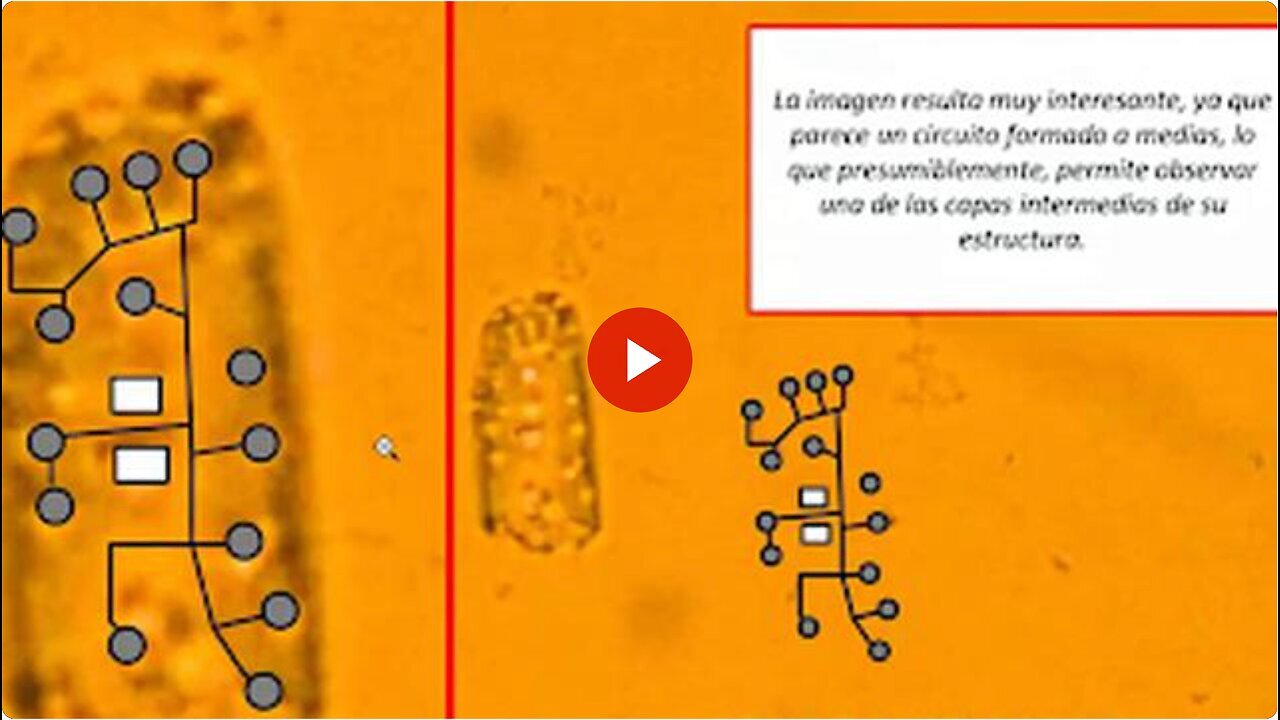 "Microtechnology Identification in Cansino, Pfizer, AstraZeneca, Sinopharm, Sputnik Vaccines"