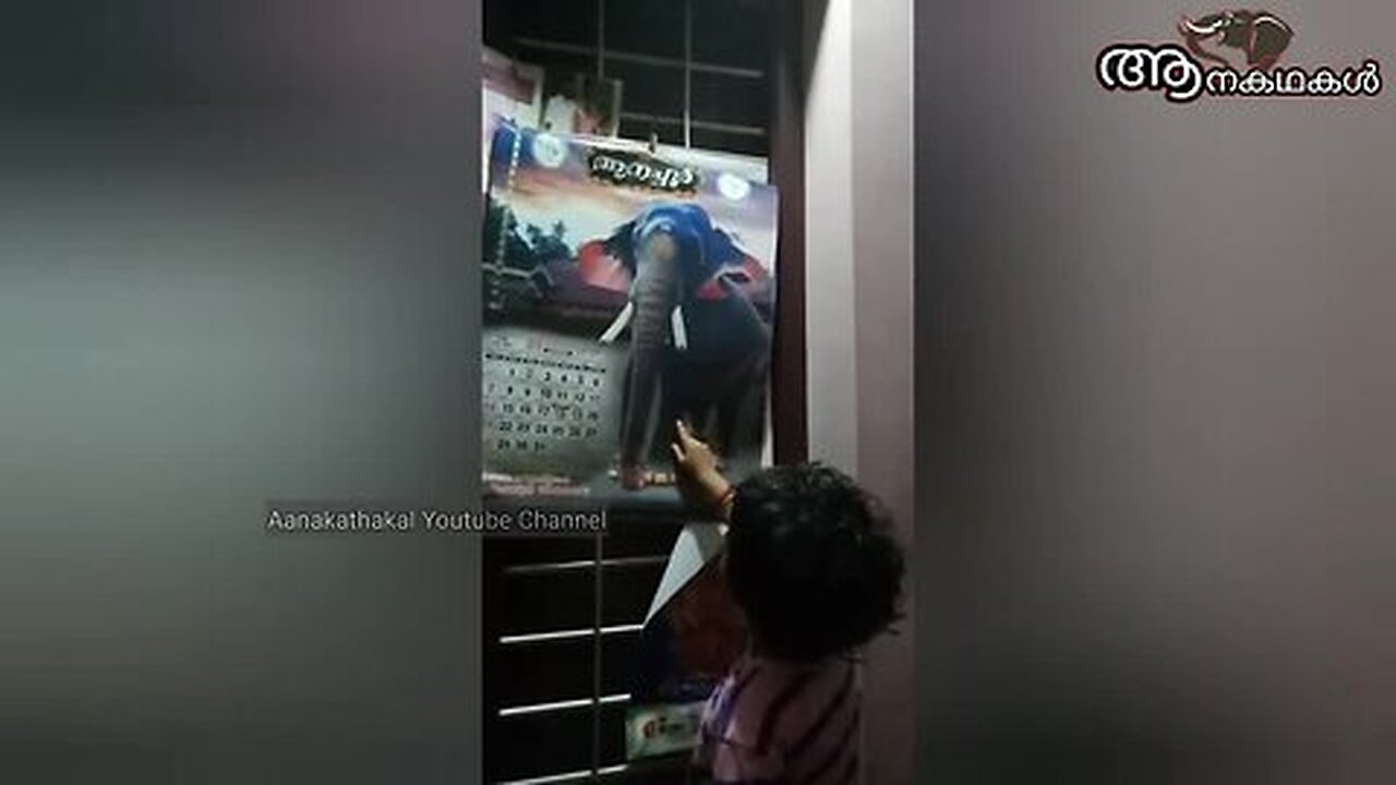 കലണ്ടറിന്റെ പ്രേശ്നമാണ്, അല്ലാതെ മോൾക് ആനയെ അറിയാത്തതല്ല 😊_ Kerala elephant video