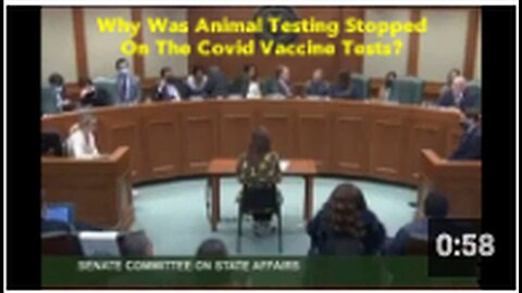 "Covid Vaccine Tests: Reasons Behind Halting Animal Testing"
