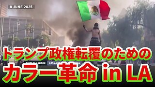 ロサンゼルス抗議デモ トランプ政権転覆のためのカラー革命 in LA Los Angeles Protests 2025/06/10