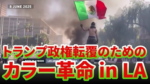 ロサンゼルス抗議デモ トランプ政権転覆のためのカラー革命 in LA Los Angeles Protests 2025/06/10