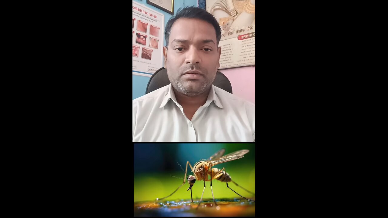 मलेरिया बुखार का इलाज ।