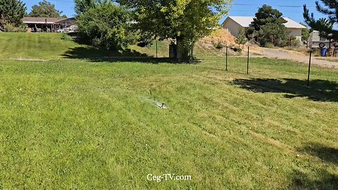 Graham Family Farm NW: 11:55 AM July 26 2025