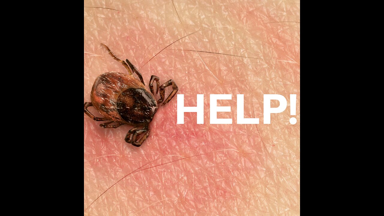 Dropping Poison Ticks on the Population | Ward Dean MD