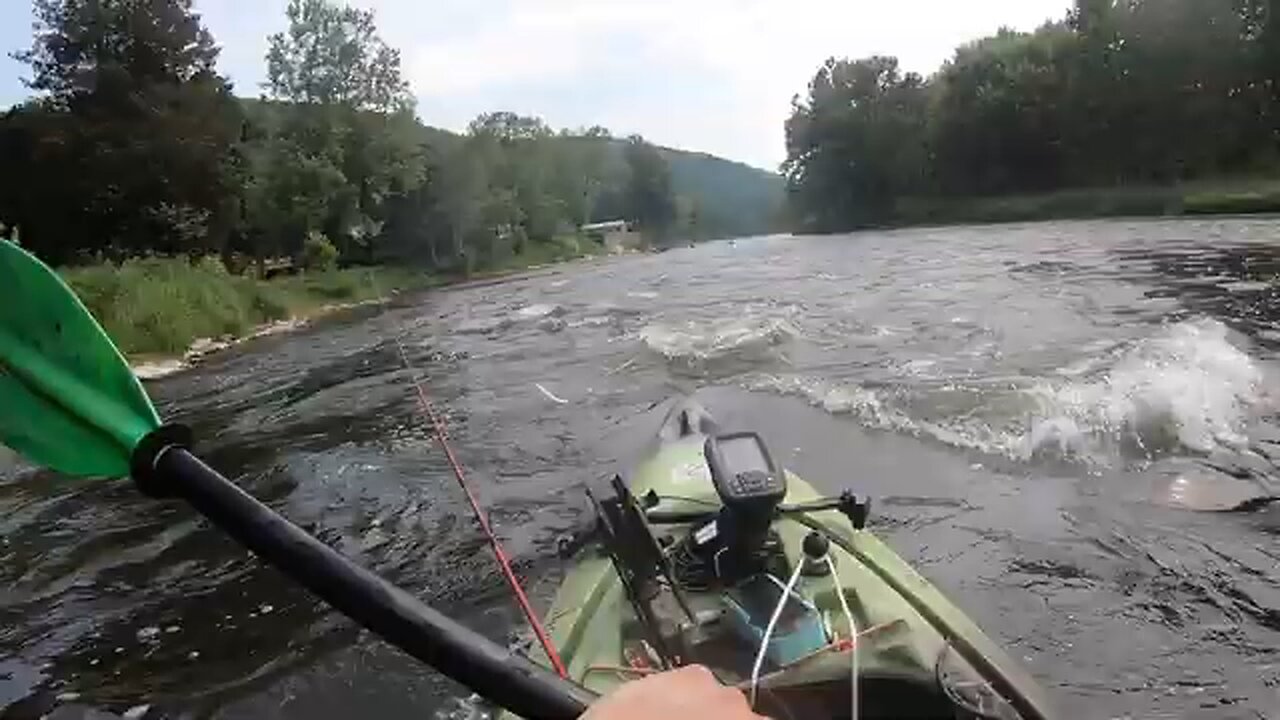 Allegheny River fishing June 2024