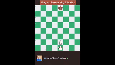 King and Pawn Vs King. Episode 2
