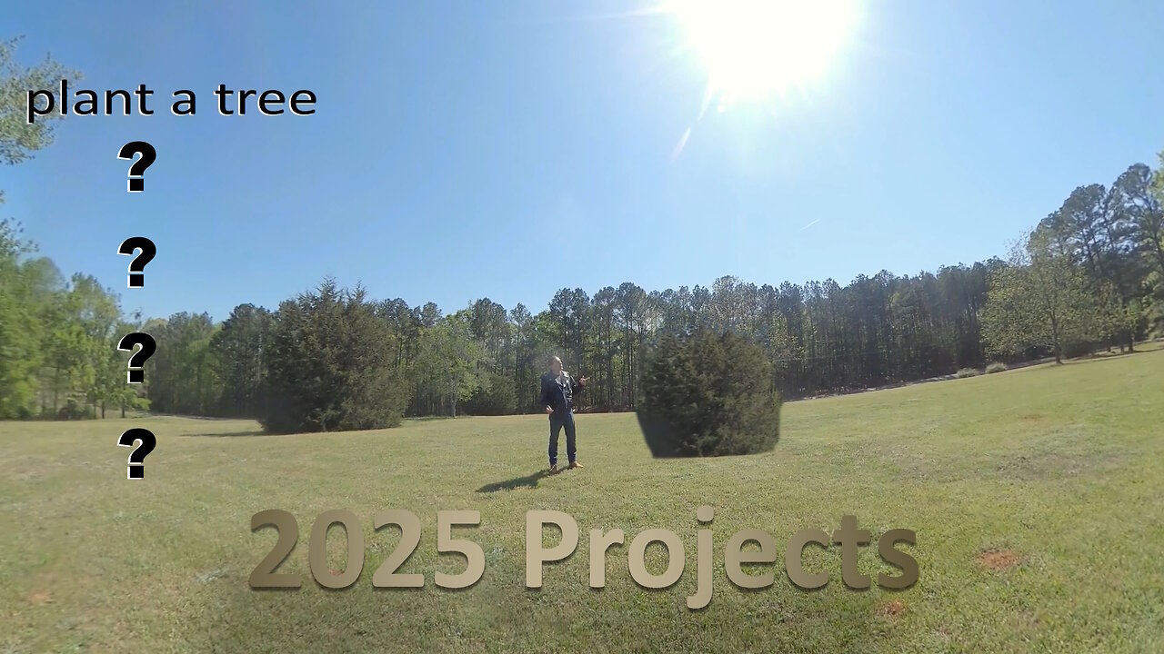 Planting a tree | 2025 Projects