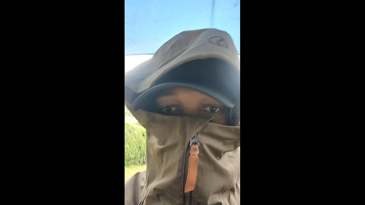 steet king in kingstone Jamaica