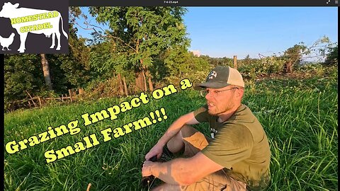 Busy Farm Week: Grazing Impact, New Calf, and Family Fun!