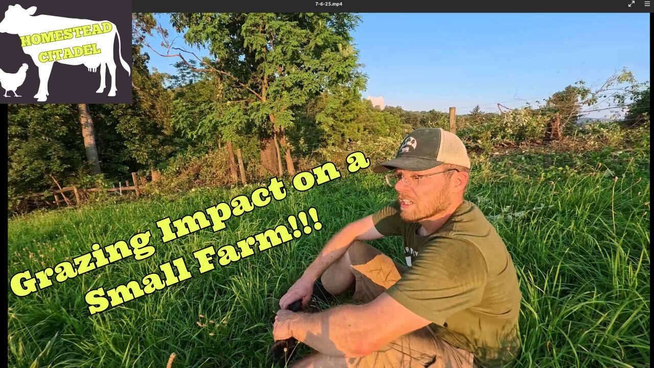 Busy Farm Week: Grazing Impact, New Calf, and Family Fun!