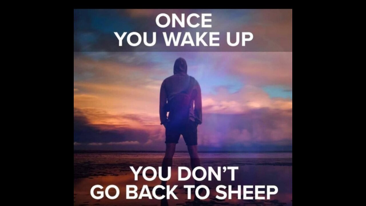 It's gonna be BIBLICAL 🐸🇺🇲😇🌍