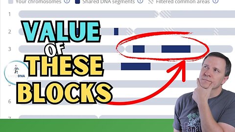 Unlock These Chromosome Blocks Before You Miss Your Living DNA Breakthroughs