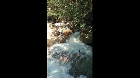 Chiefy Hilltophood Having A Wild Moment In The Wild & Awesome