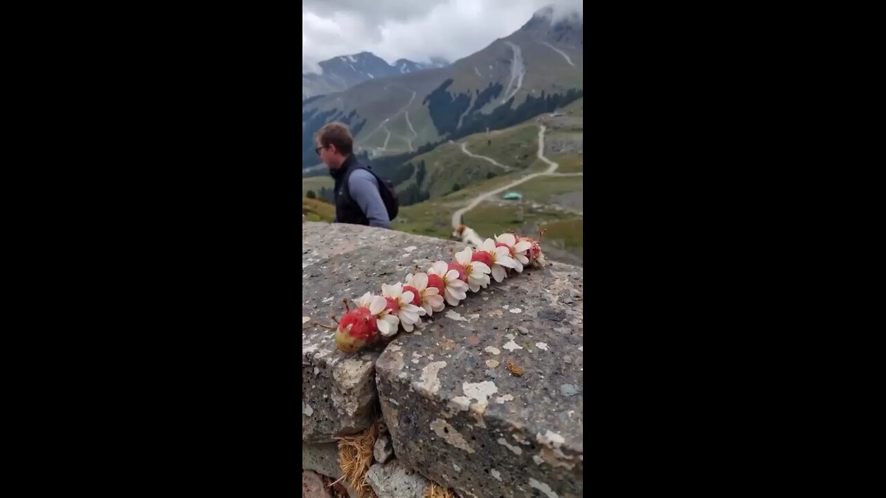 Qudrat ka kamal