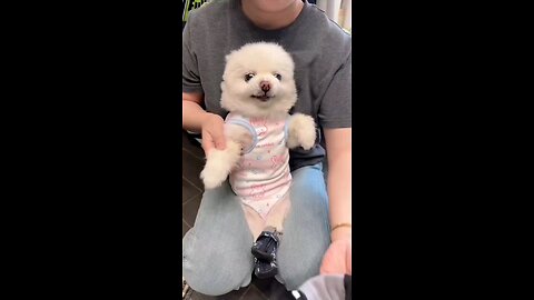 नही पहनना है मुझे