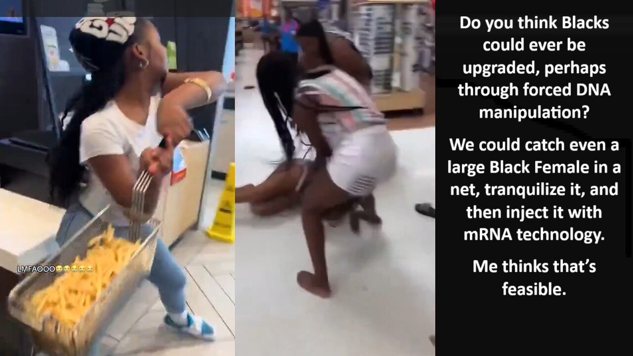 Do you think Blacks could ever be upgraded, perhaps through forced DNA manipulation? We could catch even a large Black female in a net, tranquilize it, and then inject it with mRNA technology. Me thinks that’s feasible.