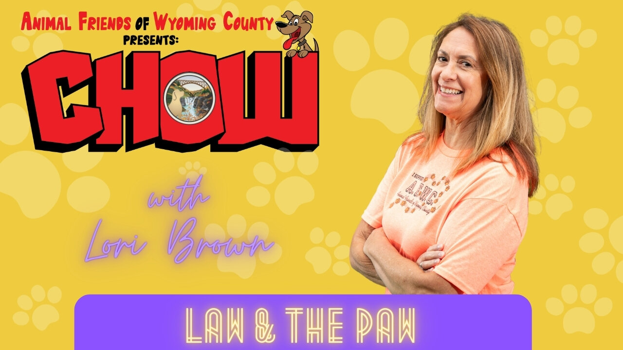 Law & the Paw