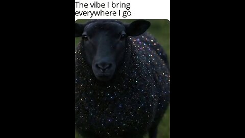 Humboldt & beyond brief