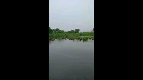 satisfying Video