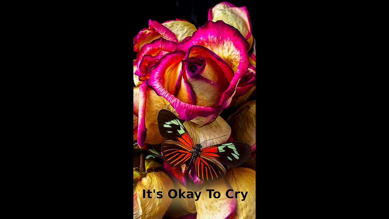Ashley 🔔 505 ~ It's Okay To Cry