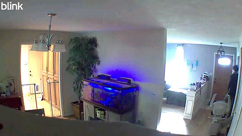 house camera morning